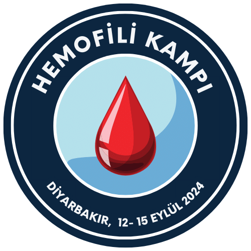 Hemofili Kampı | 12-15 Eylül 2024, Diyarbakır